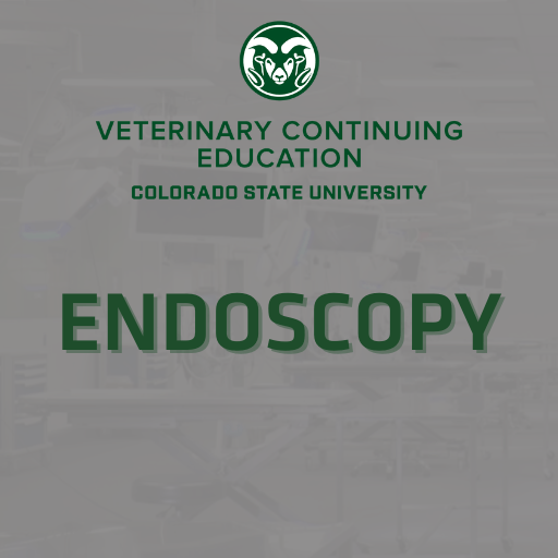 Endoscopy continuing education for veterinarians
